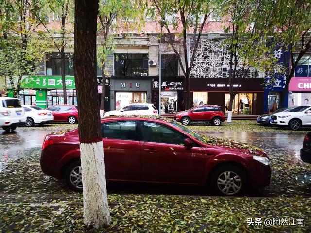 你看过最难忘的小说是什么