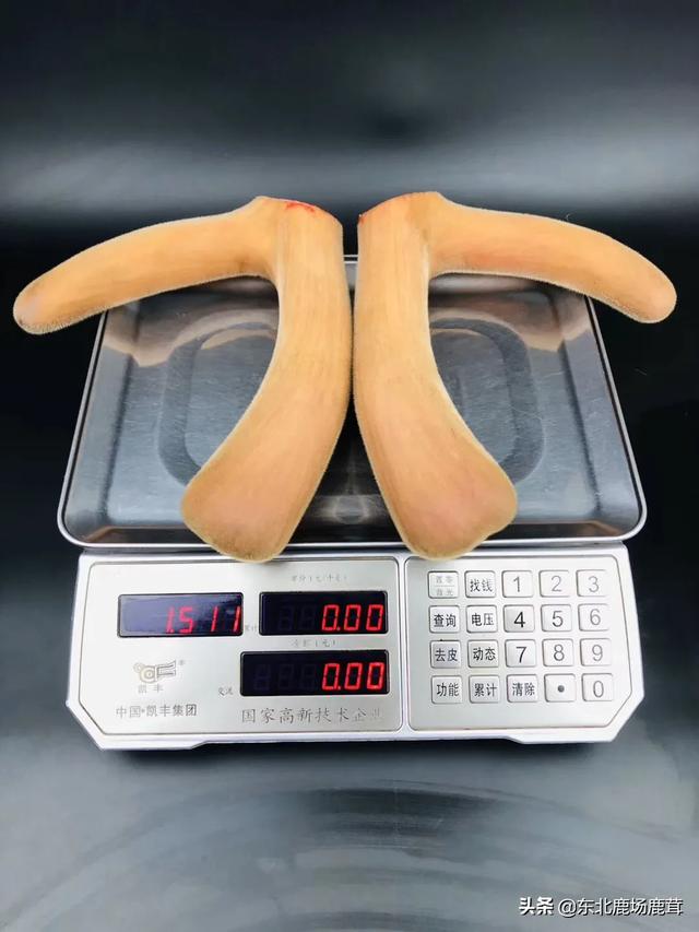 第一次做鸡肉，做完之后发现忘记用水焯啦，请问这鸡肉能吃吗?(买的鸡肉)？：医学生炖鸡