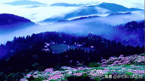 天台山在哪个省哪个市-天台山在哪个省哪个市区