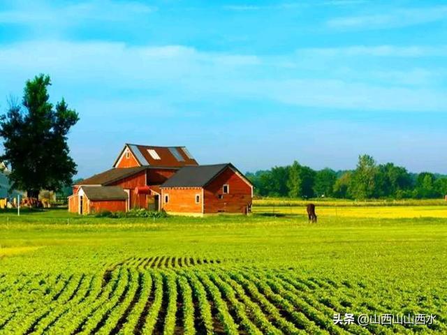 畜牧业技术员是做什么的 怎样学习畜牧兽医学？