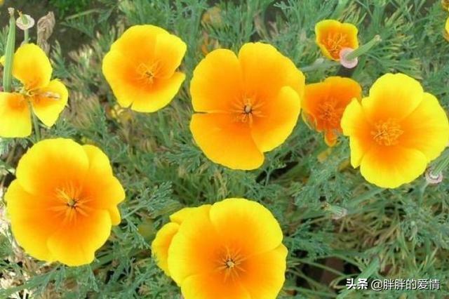 句透人生的哲理短句子（人生哲理的经典句子,看完让你受益匪浅!）