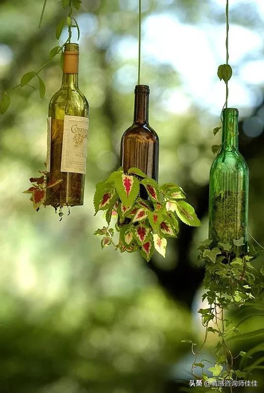 幸福的抉择在线观看（台剧幸福的抉择资源）