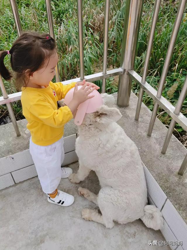 寵物與嬰兒?寵物與嬰兒故事!