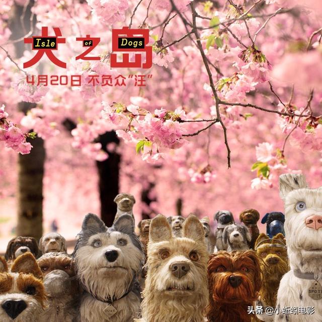 盾之勇者动漫樱花动漫（盾之勇者樱花动漫第一季）