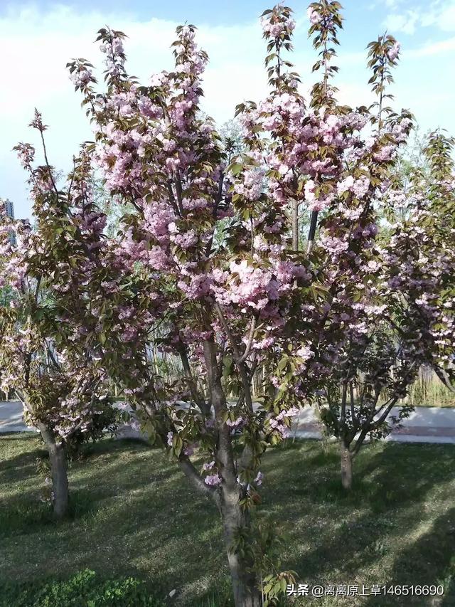 心灵鸡汤故事500字（心灵鸡汤故事500字左右）