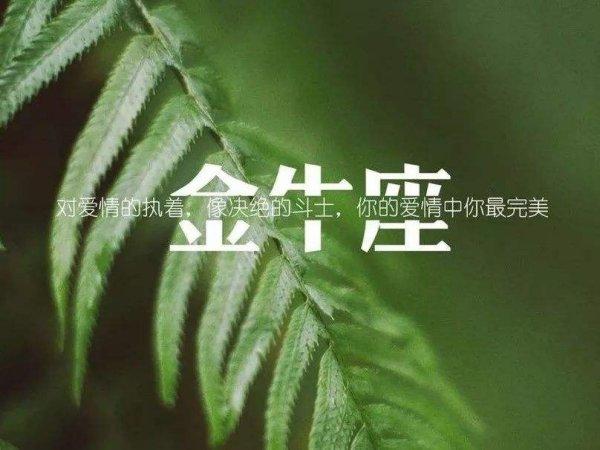 4月20日出生金牛座性格特点是,4月出生的金牛座性格