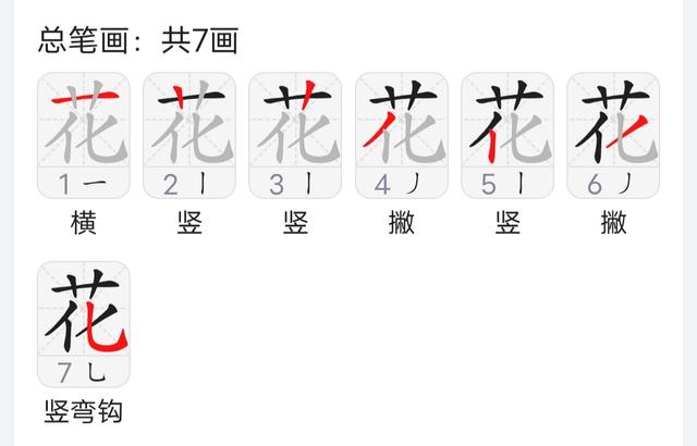 花的笔顺正确图片