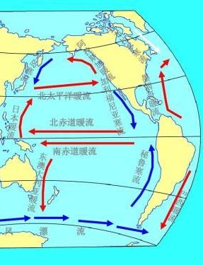 在南半球,由東南信風所形成的南赤道洋流,西流到新幾內亞附近轉向南