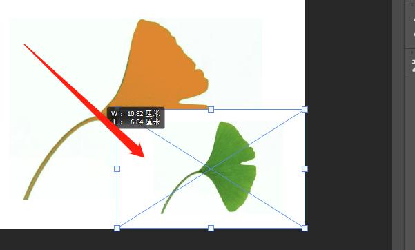 ps一个图移过去太大了怎么变小?