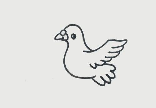翅膀的羽毛要从小到大的往上面画画,出鸽子飞翔的动态来.
