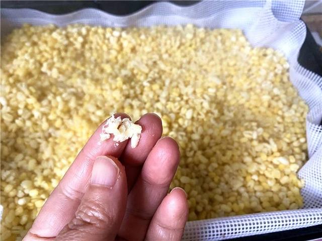 田螺吃什么饲料?