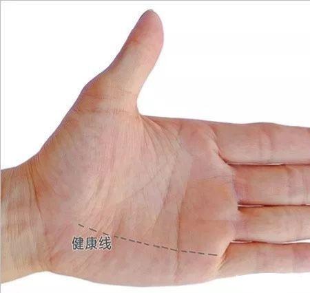 智慧线到第二火星丘,智慧线分叉第二火星