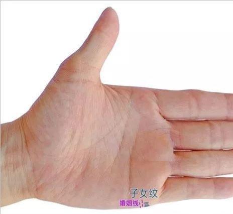 智慧线到第二火星丘,智慧线分叉第二火星
