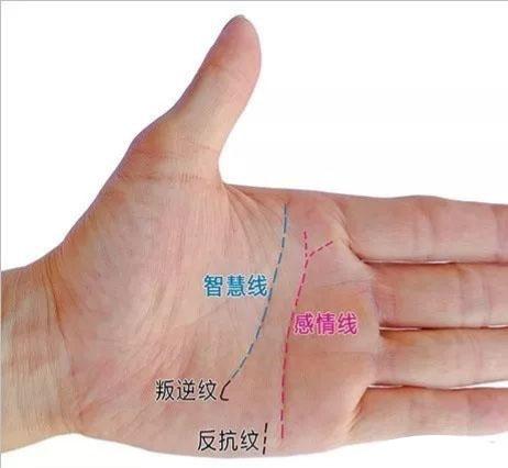 智慧线到第二火星丘,智慧线分叉第二火星