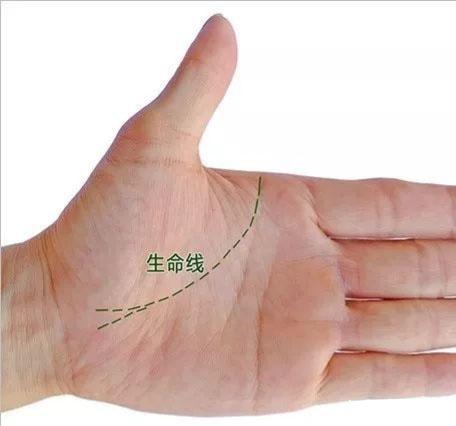 智慧线到第二火星丘,智慧线分叉第二火星