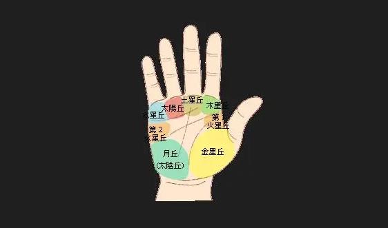 智慧线到第二火星丘,智慧线分叉第二火星