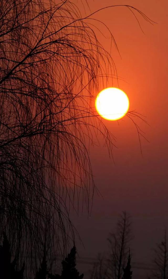 夕阳晚霞的短句图片