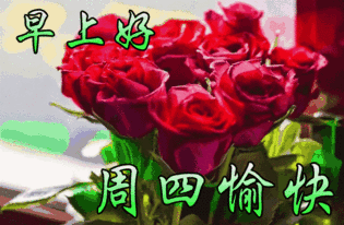 315_206gif 动态图 动图