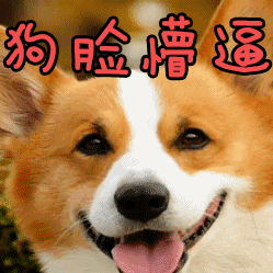 这只牧羊犬比二哈还二哈#野性的呼唤 #宅家dou剧场 #萤火计划 - 抖音