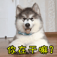 碧波海霞在抖音记录美好生活20210816 - 抖音