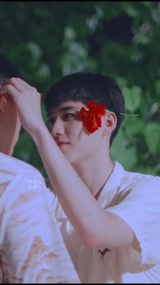 扶桑花系列1 Ppkritt 个人向 Bkpp 动态壁纸 抖音 扶桑花系列1 Ppkritt 个人向 Bkpp 动态壁纸 抖音