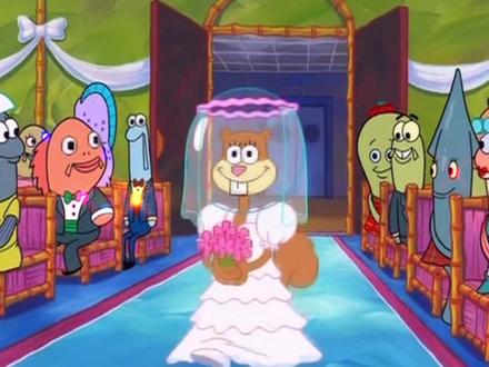 精选片段 共10s " 重播 播放 下个视频:第224集 | 海绵宝宝与珊迪结婚