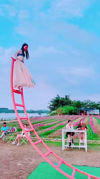 荷花,紫薇花观赏季#创意花田秋千拍摄景区#景区摄影师帮你拍摄 团建