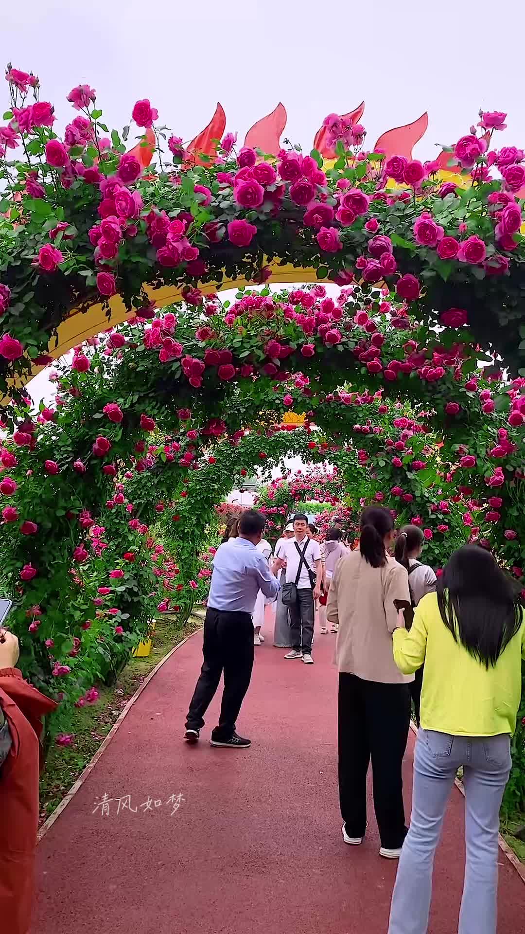 交换你镜头里的春天