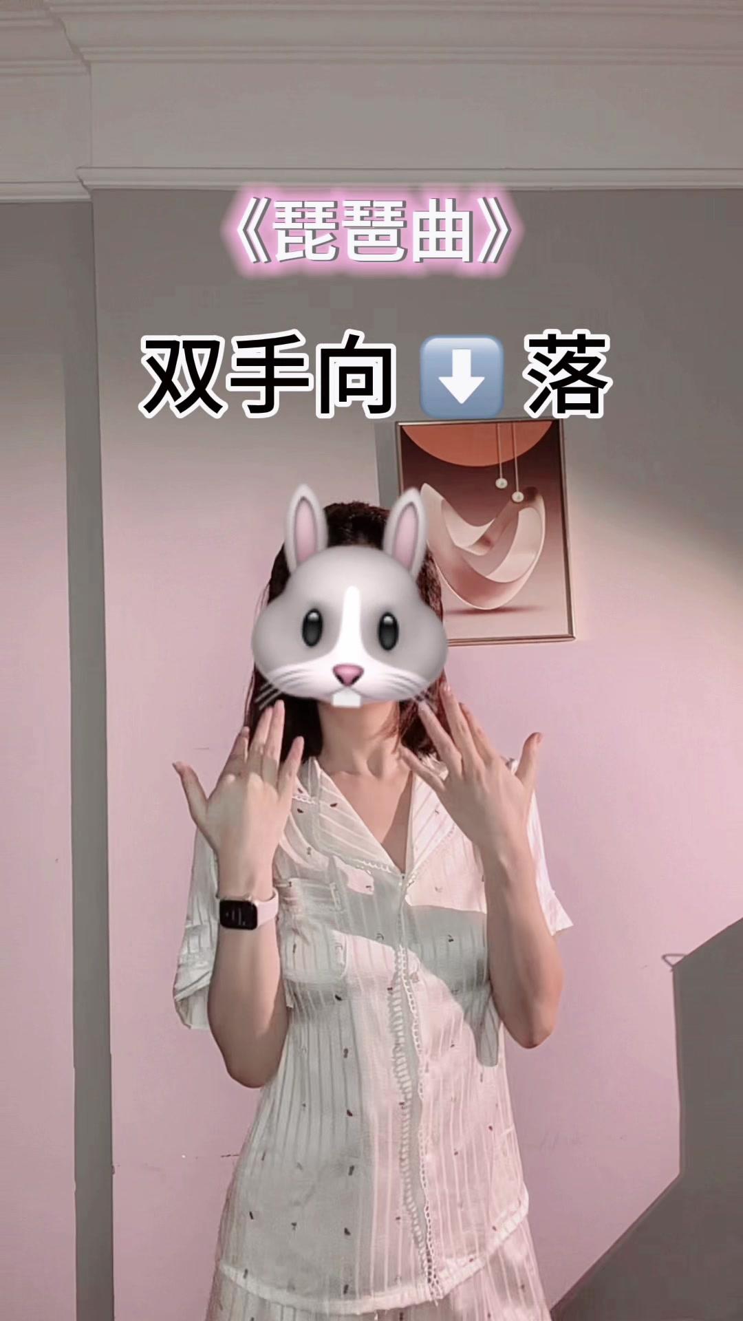 琵琶曲古风摇